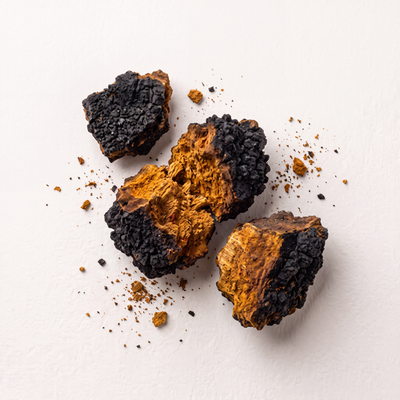 Chaga